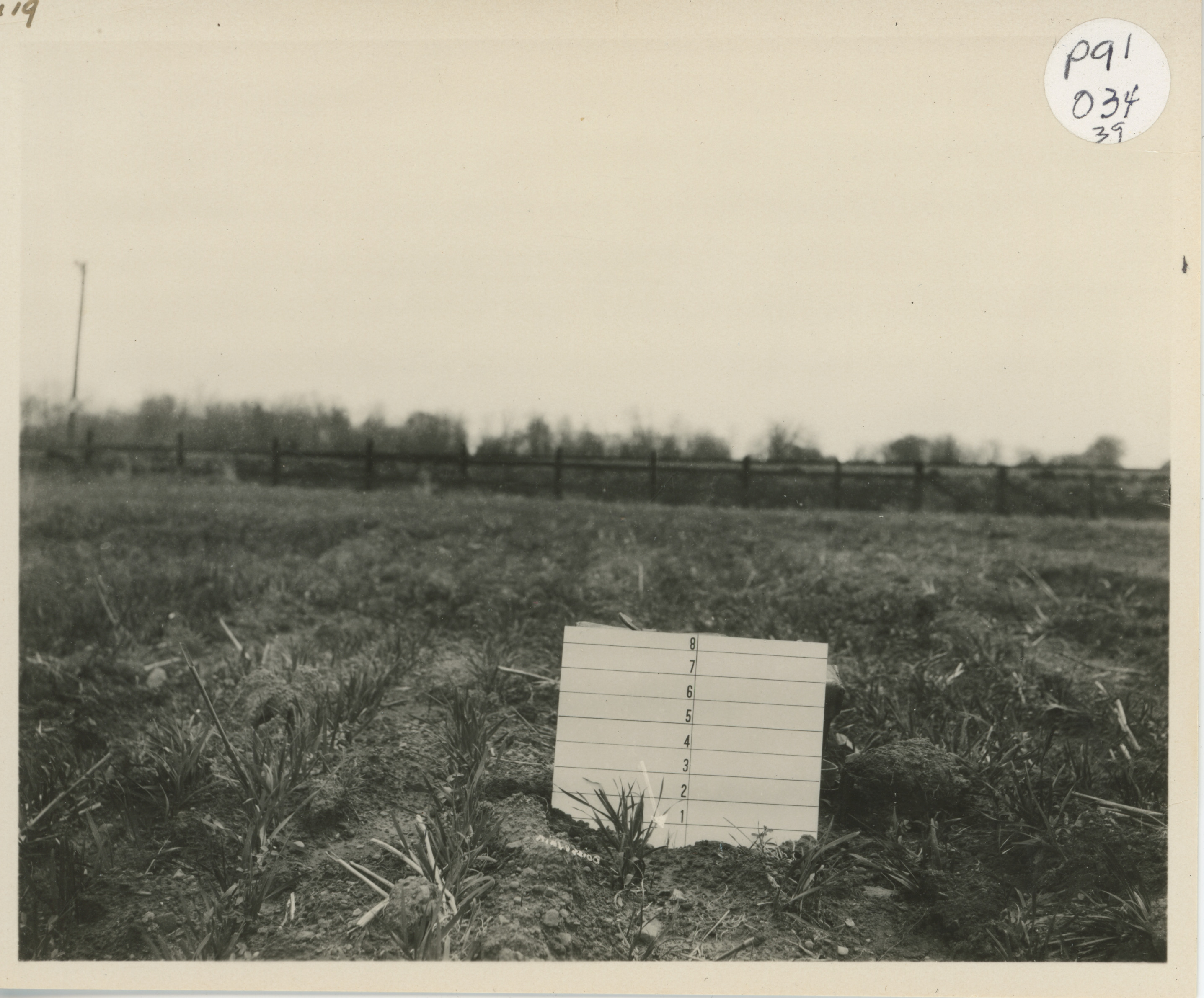 Agriculture: Farm Crops, Plowed Pacheco field, 1924, 1924 (Internet Archive)