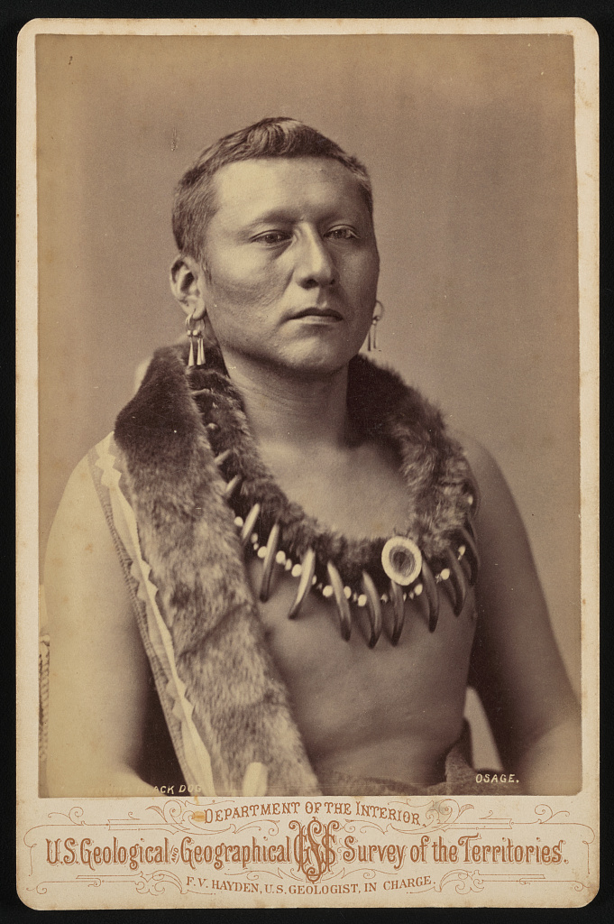 [Captain Black Dog, also known as Young Black Dog, of Co. B, 1st Osage Battalion wearing bear claw necklace], 1876 (Library of Congress)