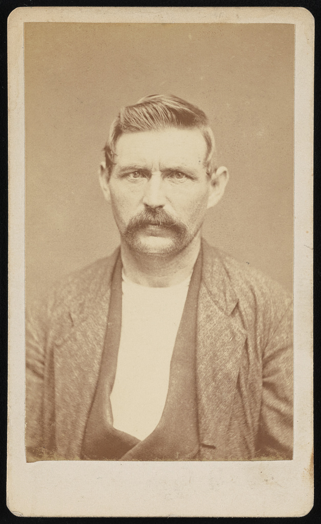 [Daniel Howe, head-and-shoulders portrait, facing front], 1878 (Library of Congress)