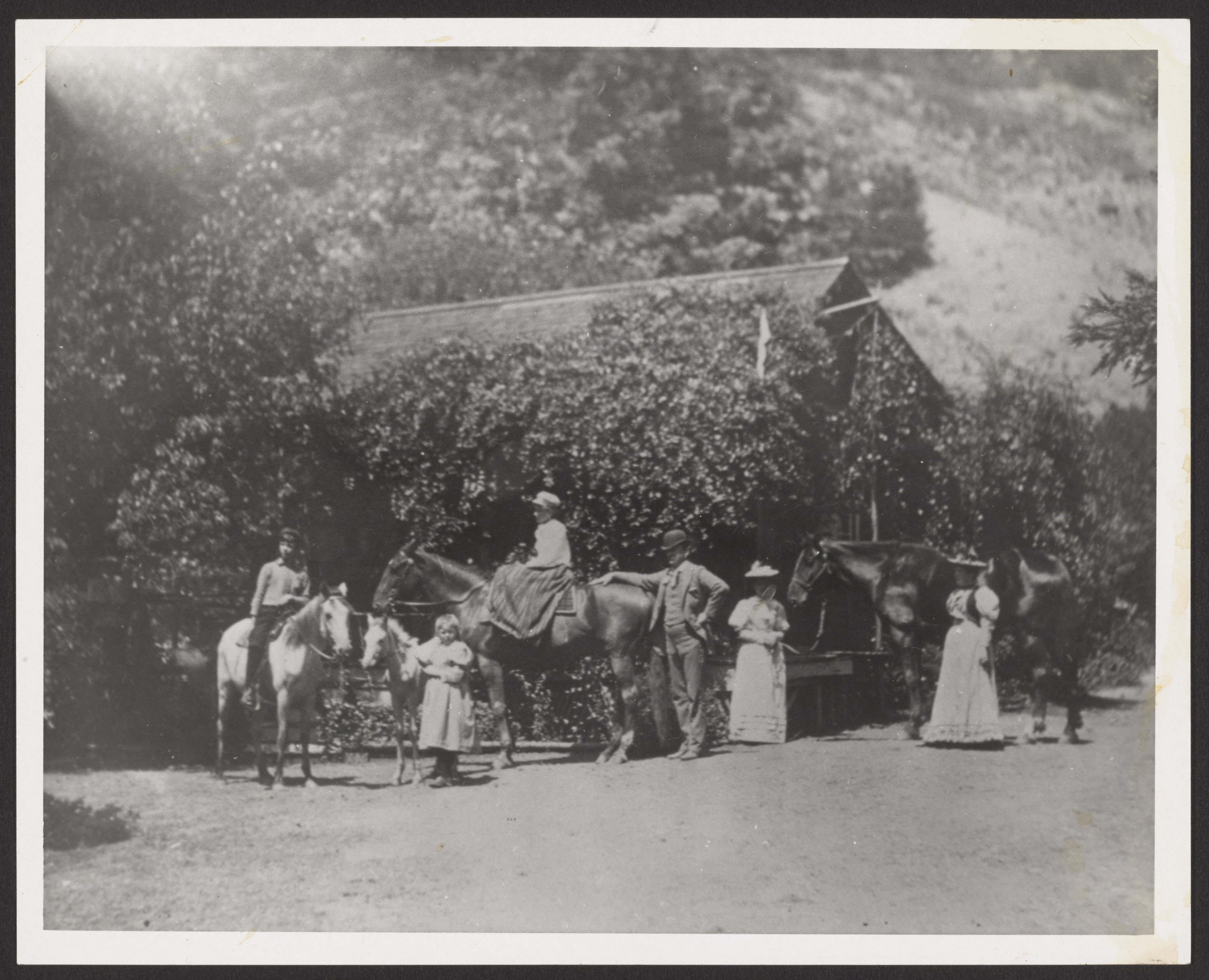 Dr. Alexander Warner and family with horses, 1892 (Internet Archive)