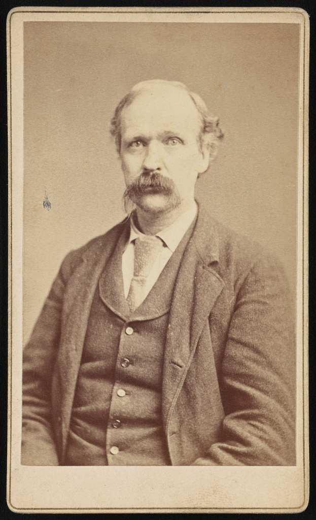 [Horace Stevens, half-length portrait, facing slightly left], 1880 (Library of Congress)