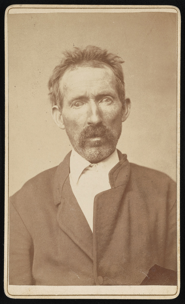 [Michael Dalton, head-and-shoulders portrait, facing front], 1877 (Library of Congress)