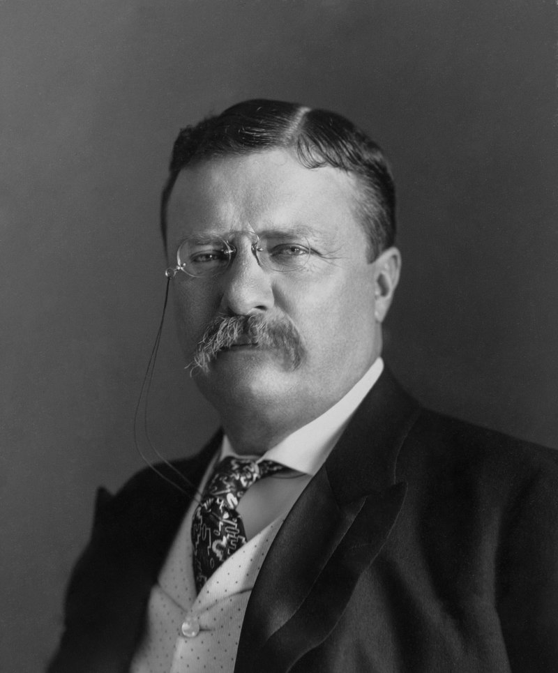 President Roosevelt, 1904 (Internet Archive)