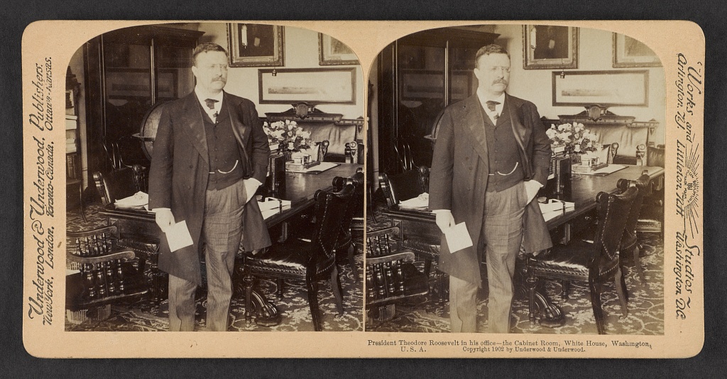 President Theodore Roosevelt in his office-the Cabinet Room, White House, Washington, U.S.A., 1902 (Library of Congress)