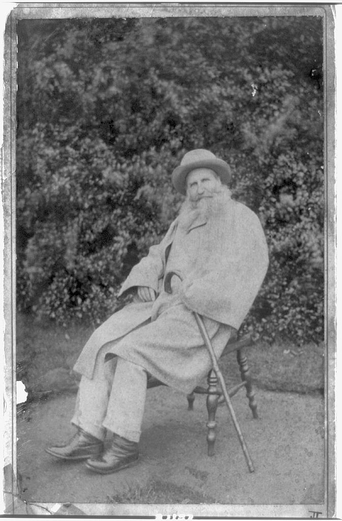 [Richard Maurice Bucke, full-length portrait, seated oudoors, facing front], 1891 (Library of Congress)