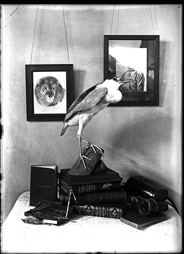 Study room., 1912 (Internet Archive)